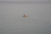 
DSC00109